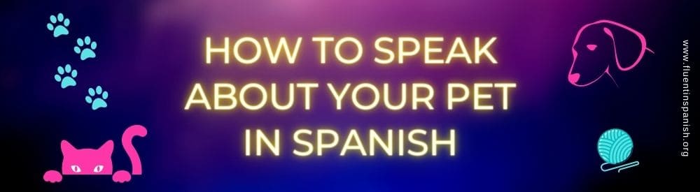How to Speak about Your Pet in Spanish