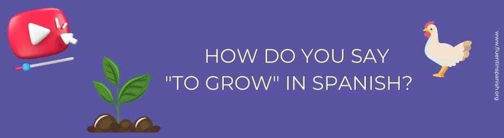 How do you say to grow in Spanish?